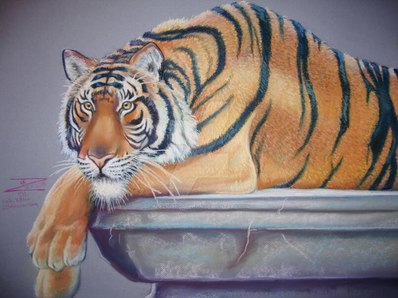 Tiger Portrait