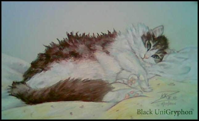 Cat Portrait shot on my old Nokia Phone